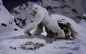 Καταρρίφθηκε ο θρύλος «Χιονάνθρωπου των Ιμαλαΐων», Γέτι: Τι έδειξε μελέτη DNA