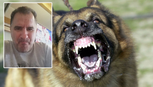 Αγρια επίθεση από αδέσποτο σκύλο δέχθηκε ο ΜΙΛΤΟΣ ΠΑΤΣΗΣ στο κέντρο της ΒΟΝΙΤΣΑΣ - Φωτογραφία 1