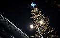 Τρίκαλα:Το ψηλότερο φυσικό χριστουγεννιάτικο δέντρο στην Ελλάδα - Φωτογραφία 2