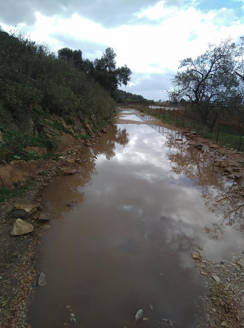 Πλημμύρισε αγροτικός δρόμος στον ΑΣΤΑΚΟ (ΦΩΤΟ) - Φωτογραφία 4