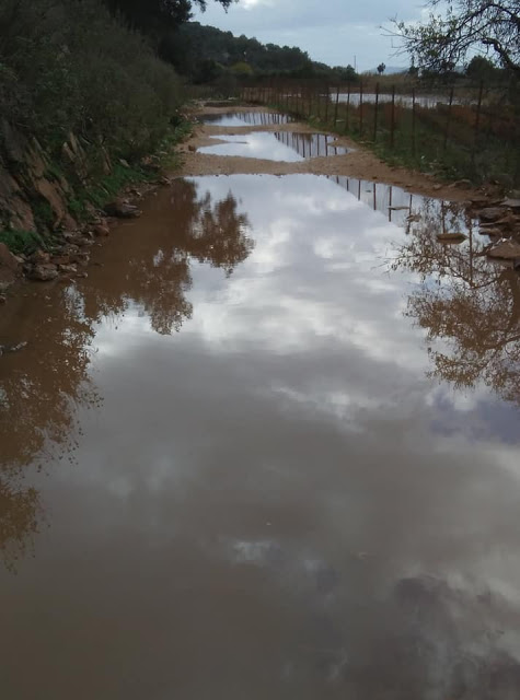 Πλημμύρισε αγροτικός δρόμος στον ΑΣΤΑΚΟ (ΦΩΤΟ) - Φωτογραφία 5