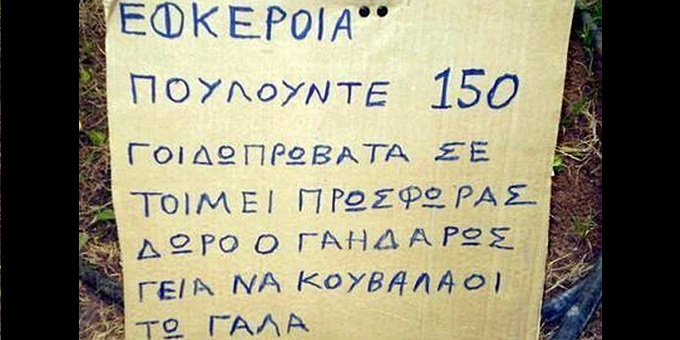 30 επικές ελληνικές πινακίδες που η μια είναι καλύτερη από την άλλη! - Φωτογραφία 11