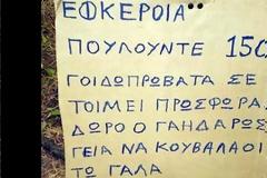30 επικές ελληνικές πινακίδες που η μια είναι καλύτερη από την άλλη!
