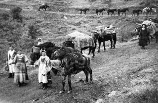 Σαρακατσάνοι: Η προέλευσή τους και η πορεία τους στον χρόνο - Φωτογραφία 7