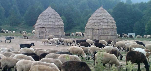 Σαρακατσάνοι: Η προέλευσή τους και η πορεία τους στον χρόνο - Φωτογραφία 8