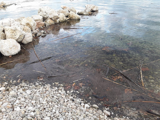 Γέμισε φερτά υλικά η παραλία στα ΠΑΛΙΑΜΠΕΛΑ λόγω της θεομηνίας (ΦΩΤΟ: Στέλλα Λιάπη) - Φωτογραφία 17