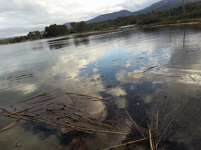 Γέμισε φερτά υλικά η παραλία στα ΠΑΛΙΑΜΠΕΛΑ λόγω της θεομηνίας (ΦΩΤΟ: Στέλλα Λιάπη) - Φωτογραφία 2