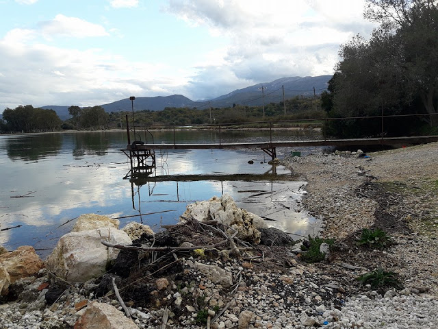 Γέμισε φερτά υλικά η παραλία στα ΠΑΛΙΑΜΠΕΛΑ λόγω της θεομηνίας (ΦΩΤΟ: Στέλλα Λιάπη) - Φωτογραφία 24