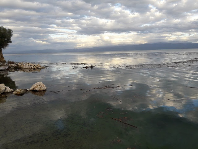 Γέμισε φερτά υλικά η παραλία στα ΠΑΛΙΑΜΠΕΛΑ λόγω της θεομηνίας (ΦΩΤΟ: Στέλλα Λιάπη) - Φωτογραφία 25