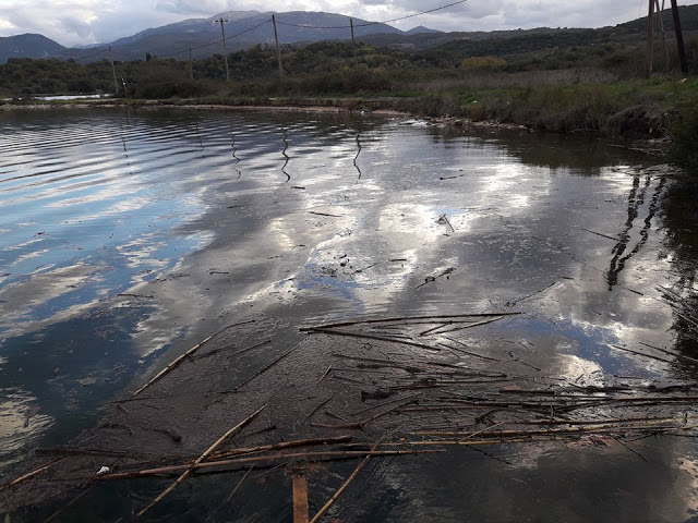 Γέμισε φερτά υλικά η παραλία στα ΠΑΛΙΑΜΠΕΛΑ λόγω της θεομηνίας (ΦΩΤΟ: Στέλλα Λιάπη) - Φωτογραφία 26