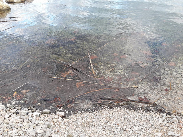 Γέμισε φερτά υλικά η παραλία στα ΠΑΛΙΑΜΠΕΛΑ λόγω της θεομηνίας (ΦΩΤΟ: Στέλλα Λιάπη) - Φωτογραφία 28