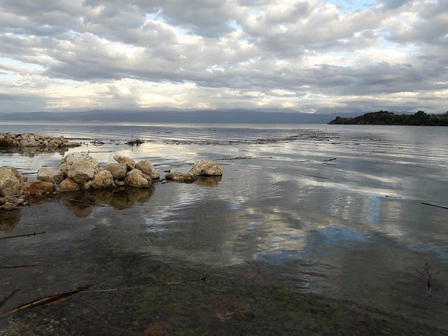 Γέμισε φερτά υλικά η παραλία στα ΠΑΛΙΑΜΠΕΛΑ λόγω της θεομηνίας (ΦΩΤΟ: Στέλλα Λιάπη) - Φωτογραφία 29