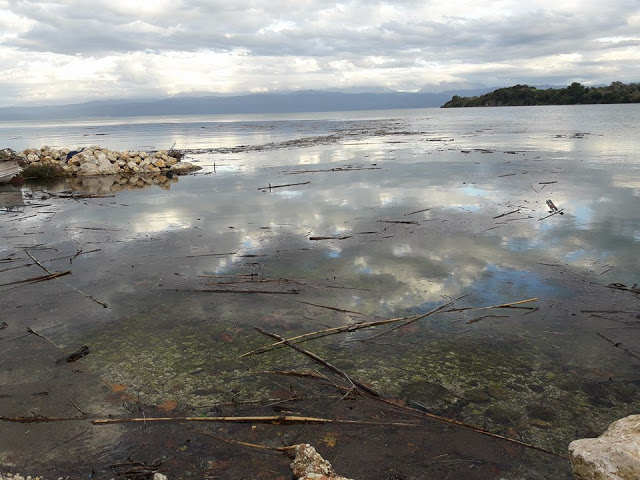 Γέμισε φερτά υλικά η παραλία στα ΠΑΛΙΑΜΠΕΛΑ λόγω της θεομηνίας (ΦΩΤΟ: Στέλλα Λιάπη) - Φωτογραφία 32