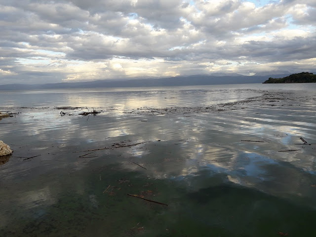 Γέμισε φερτά υλικά η παραλία στα ΠΑΛΙΑΜΠΕΛΑ λόγω της θεομηνίας (ΦΩΤΟ: Στέλλα Λιάπη) - Φωτογραφία 4