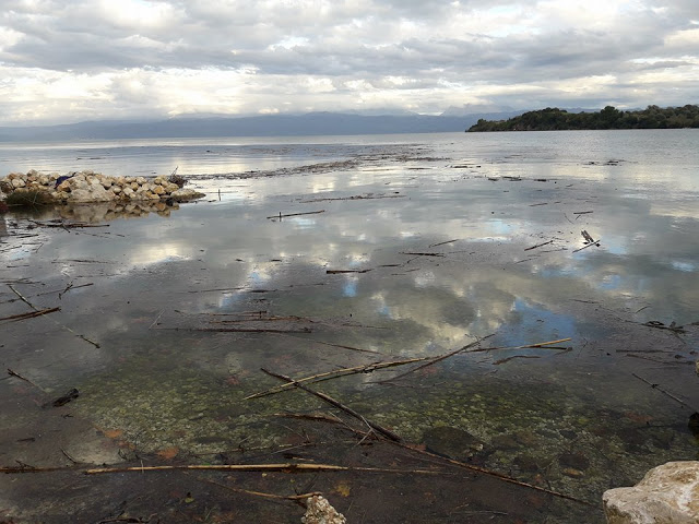 Γέμισε φερτά υλικά η παραλία στα ΠΑΛΙΑΜΠΕΛΑ λόγω της θεομηνίας (ΦΩΤΟ: Στέλλα Λιάπη) - Φωτογραφία 5