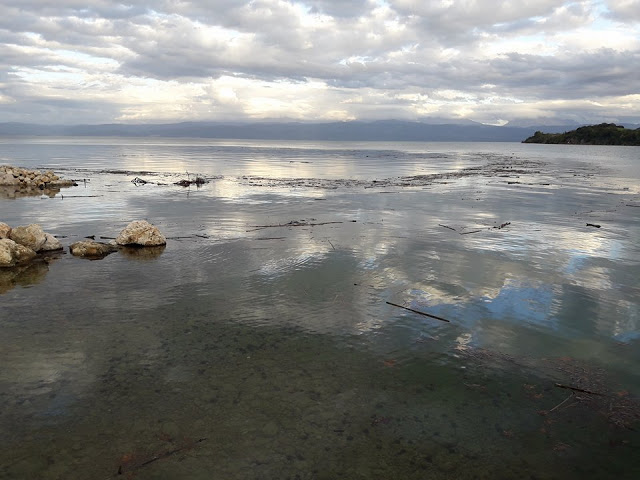 Γέμισε φερτά υλικά η παραλία στα ΠΑΛΙΑΜΠΕΛΑ λόγω της θεομηνίας (ΦΩΤΟ: Στέλλα Λιάπη) - Φωτογραφία 7