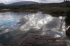 Γέμισε φερτά υλικά η παραλία στα ΠΑΛΙΑΜΠΕΛΑ λόγω της θεομηνίας (ΦΩΤΟ: Στέλλα Λιάπη)