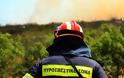 Κρήτη: Οι εθελοντές πυροσβέστες γιορτάζουν και ενημερώνουν