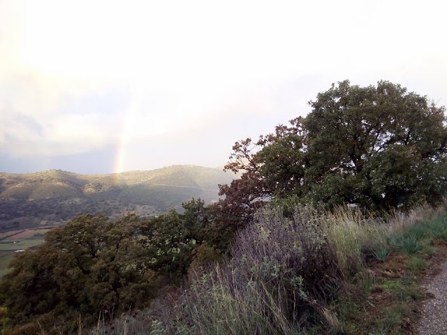 Το εντυπωσιακό ουράνιο τόξο στο Αγράμπελο (ΦΩΤΟ) - Φωτογραφία 9