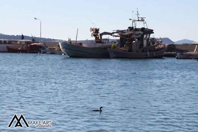 Γιορτή και λιτανεία της εικόνας του ΑΓΙΟΥ ΝΙΚΟΛΑΟΥ στον ΑΣΤΑΚΟ (ΦΩΤΟ: Make Art) - Φωτογραφία 45