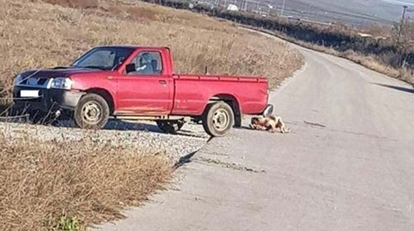 Συνελήφθη 75χρονος που έσερνε τον σκύλο του πίσω από το αγροτικο 0 - Φωτογραφία 1