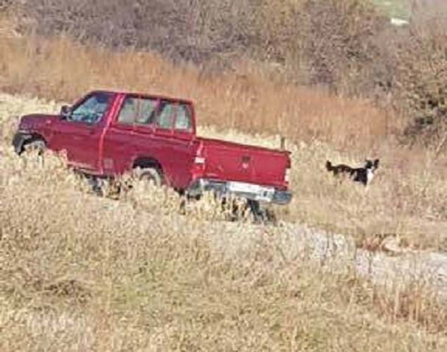 Συνελήφθη 75χρονος που έσερνε τον σκύλο του πίσω από το αγροτικο 0 - Φωτογραφία 2