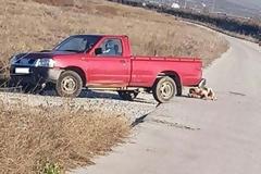 Συνελήφθη 75χρονος που έσερνε τον σκύλο του πίσω από το αγροτικο 0