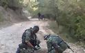 Στρατιωτική άσκηση στη Χαλκιδική: Η απίστευτη ανακοίνωση του δήμου - Με τι καλεί τους κατοίκους, να μην μπερδέψουν τους στρατιώτες