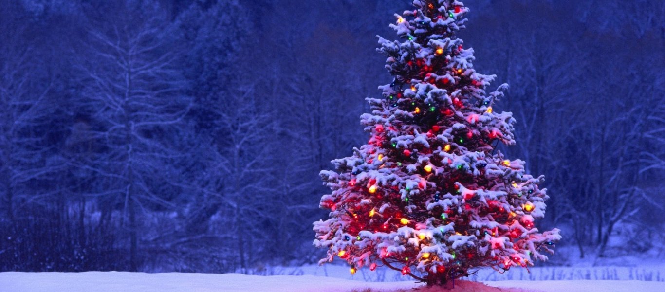 Ο Πειραιάς άναψε το χριστουγεννιάτικο του δέντρο - Φωτογραφία 1