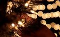 Διακοσμητής εξηγεί πώς να βάλεις σωστά τα λαμπάκια στο χριστουγεννιάτικο δέντρο