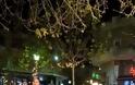 Άναψε χθες βράδυ το Χριστουγεννιάτικο Δέντρο στην ΚΑΤΟΥΝΑ - Αλλαγή ημερομηνίας σε Πάλαιρο και Παλιάμπελα - Φωτογραφία 7