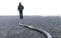 Ξεβράστηκε μυστηριώδες φίδι 20 μέτρων σε παραλία της Ρωσίας - Φωτογραφία 2
