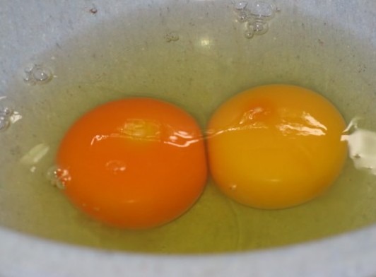 Ποιον από τους δύο κρόκους αβγών θα επέλεγες; - Φωτογραφία 1