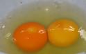 Ποιον από τους δύο κρόκους αβγών θα επέλεγες;