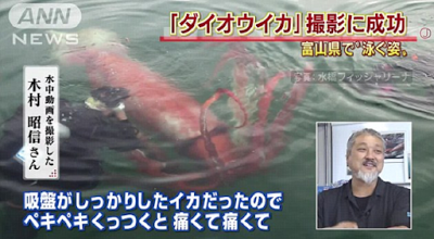 Γιγάντιο καλαμάρι κολυμπά στις ακτές της Ιαπωνίας [video] - Φωτογραφία 2