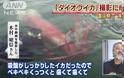 Γιγάντιο καλαμάρι κολυμπά στις ακτές της Ιαπωνίας [video] - Φωτογραφία 2