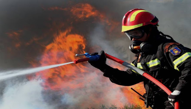 Πυροσβέστες Στερεάς Ελλάδας: Ο κόσμος χάνεται και η ΕΑΚΠ... χτενίζεται - Φωτογραφία 1