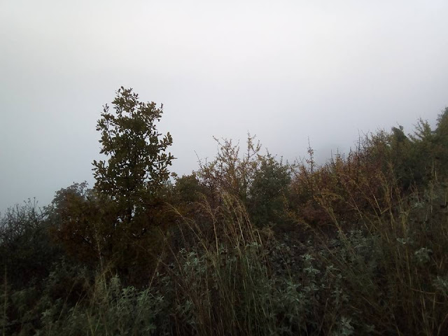 Το ΑΓΡΑΜΠΕΛΟ «πνιγμένο» από την ομίχλη (ΦΩΤΟ) - Φωτογραφία 10