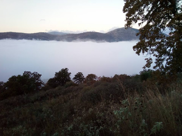Το ΑΓΡΑΜΠΕΛΟ «πνιγμένο» από την ομίχλη (ΦΩΤΟ) - Φωτογραφία 18