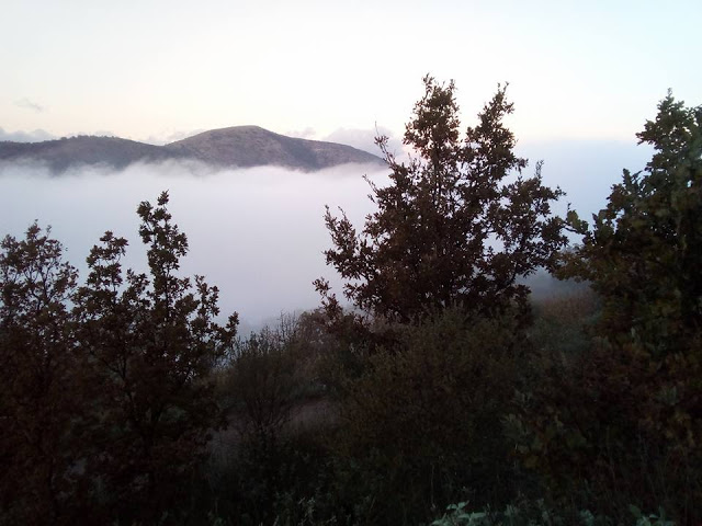 Το ΑΓΡΑΜΠΕΛΟ «πνιγμένο» από την ομίχλη (ΦΩΤΟ) - Φωτογραφία 19