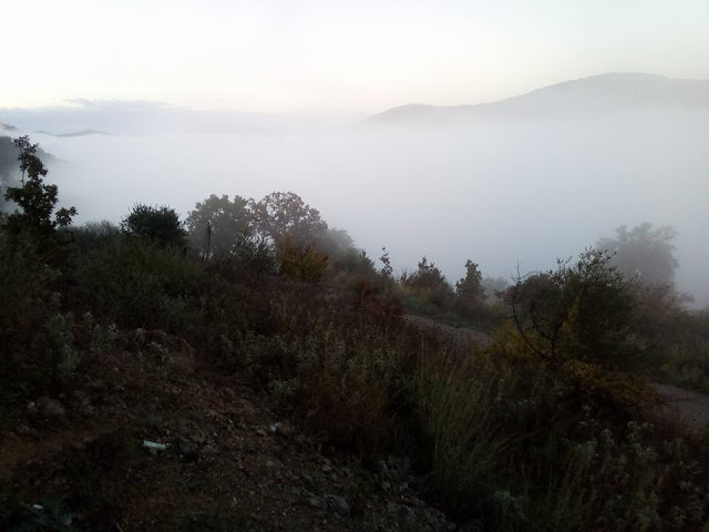 Το ΑΓΡΑΜΠΕΛΟ «πνιγμένο» από την ομίχλη (ΦΩΤΟ) - Φωτογραφία 21