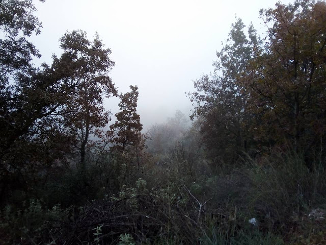 Το ΑΓΡΑΜΠΕΛΟ «πνιγμένο» από την ομίχλη (ΦΩΤΟ) - Φωτογραφία 4