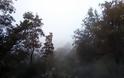 Το ΑΓΡΑΜΠΕΛΟ «πνιγμένο» από την ομίχλη (ΦΩΤΟ) - Φωτογραφία 4
