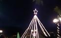 Άναψε το χριστουγεννιάτικο δέντρο στα ΠΑΛΙΑΜΠΕΛΑ (ΦΩΤΟ: Στέλλα Λιάπη) - Φωτογραφία 69