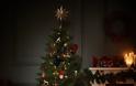 Το χριστουγεννιάτικο δέντρο που ταιριάζει σε κάθε ζώδιο! - Φωτογραφία 2