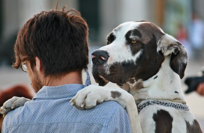 Η άσχημη μυρωδιά του σκύλου σου είναι φυσιολογική; Πότε πρέπει ν’ ανησυχήσεις! - Φωτογραφία 1
