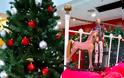 Χριστουγεννιάτικη εκδήλωση αγάπης στο Ίδρυμα Μιχάλης Κακογιάννης με οικοδέσποινα τη Μάρα Ζαχαρέα - Φωτογραφία 2