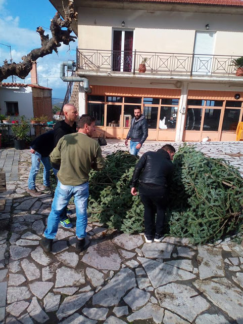 Χριστουγεννιάτικη Γιορτή στο ΘΥΡΡΕΙΟ (φωτό) - Φωτογραφία 16