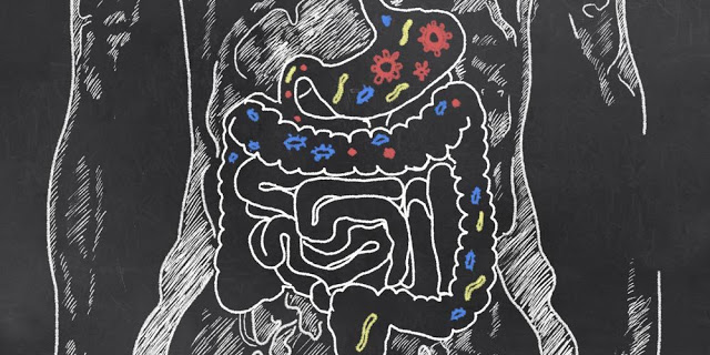 Τι είναι το μικροβίωμα και πώς επηρεάζει την υγεία μας; - Φωτογραφία 1