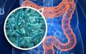 Τι είναι το μικροβίωμα και πώς επηρεάζει την υγεία μας; - Φωτογραφία 3